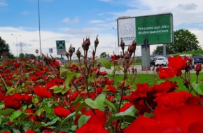 Sanithad, 42 anni di storia